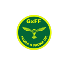 GxFF Logo