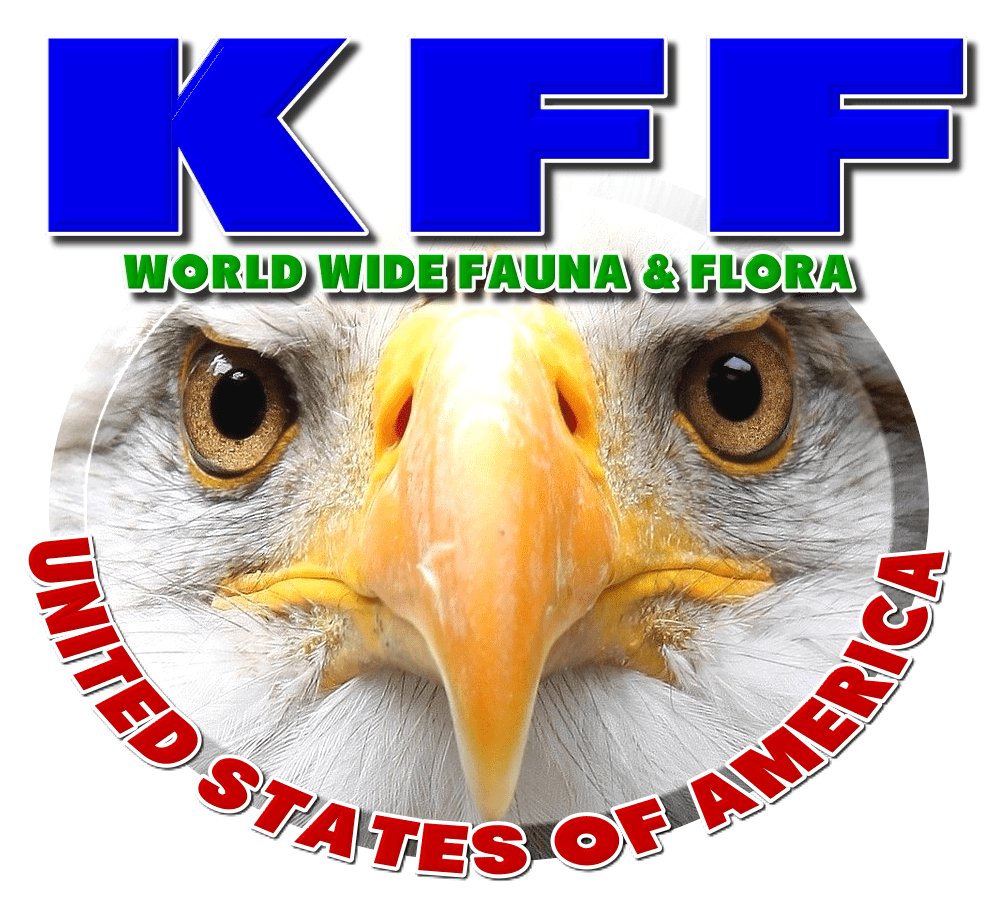 Web : KFF USA
Coordinator : N9MM
Award manager : K7EDM
Logmanager : KA9JAC